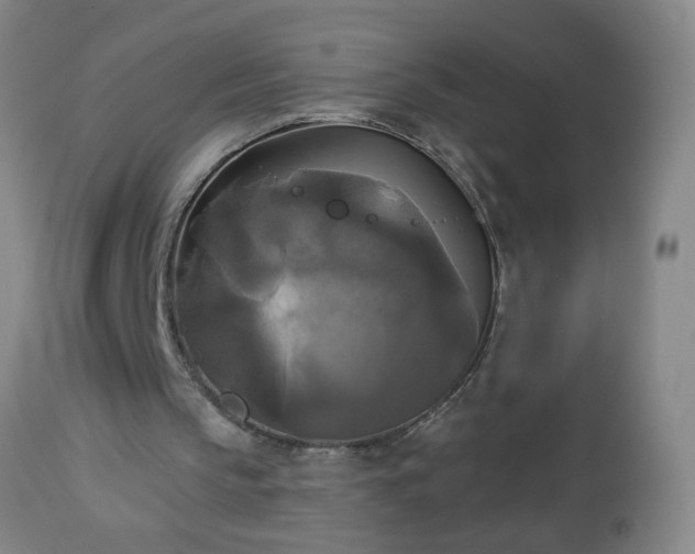 X0000112960145200909031030