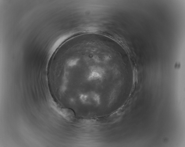 X0000112960147200909031030