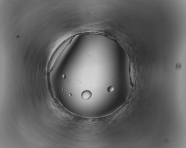 X0000112960148200909031030