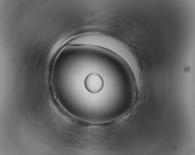 X0000112960150200909031030