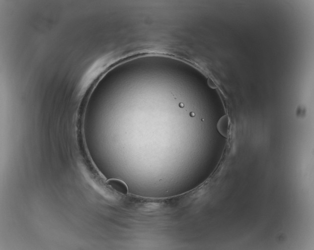 X0000112960151200909031030