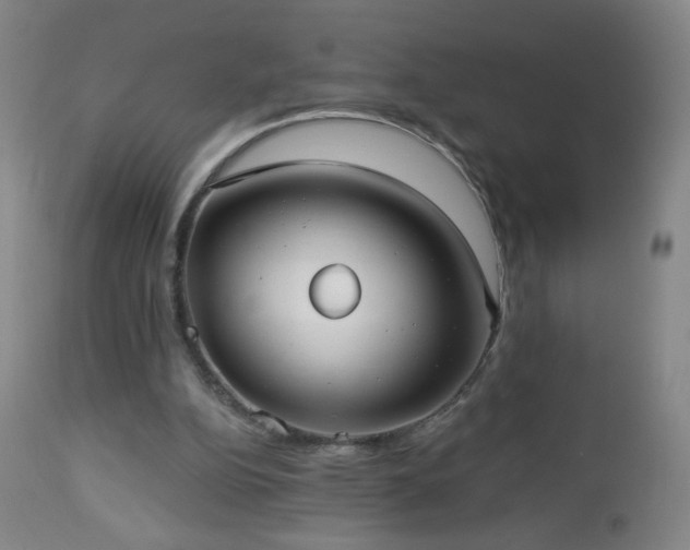 X0000112960152200909031030