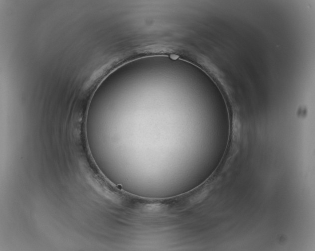 X0000112960153200909031030