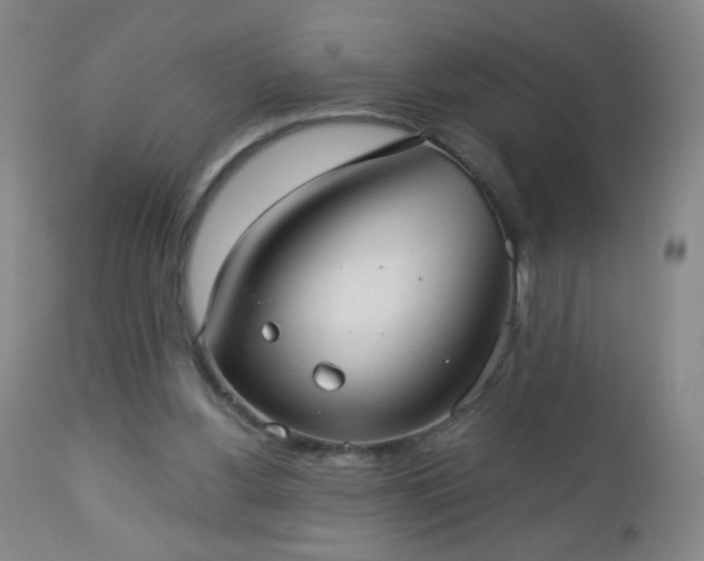 X0000112960156200909031030