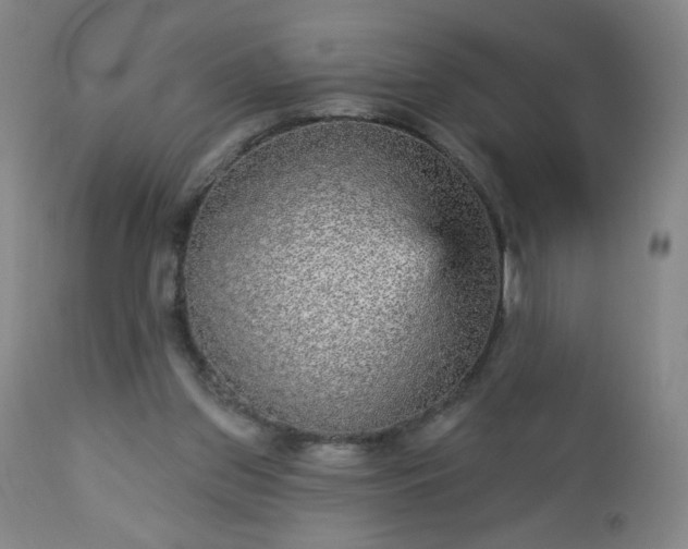 X0000112960157200909031030