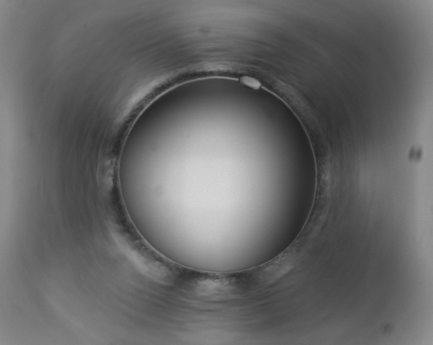 X0000112960160200909031030