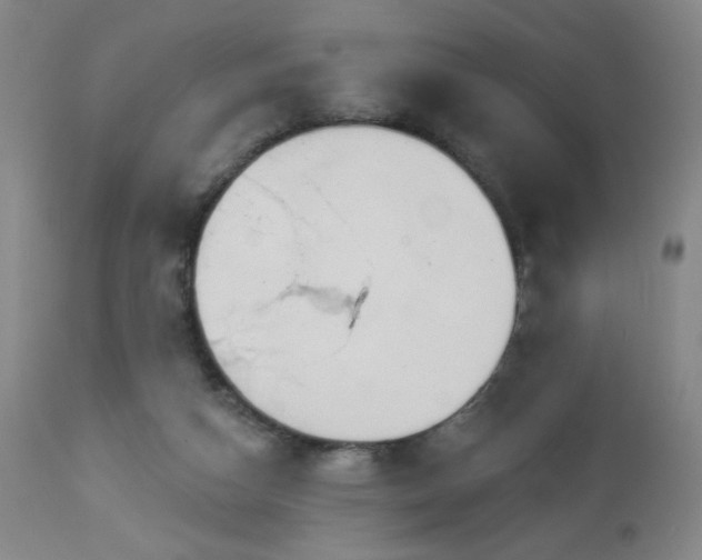 X0000112960162200909031030