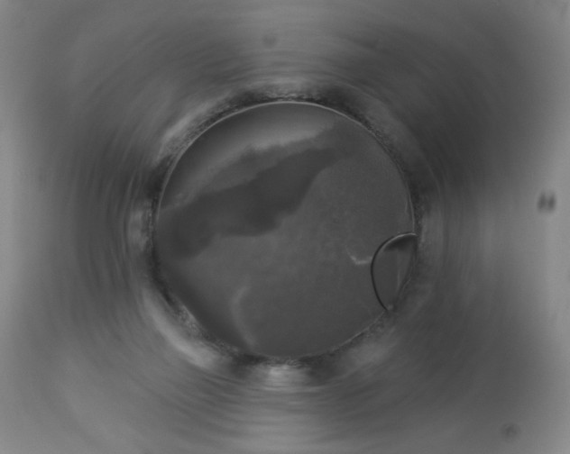 X0000112960165200909031030