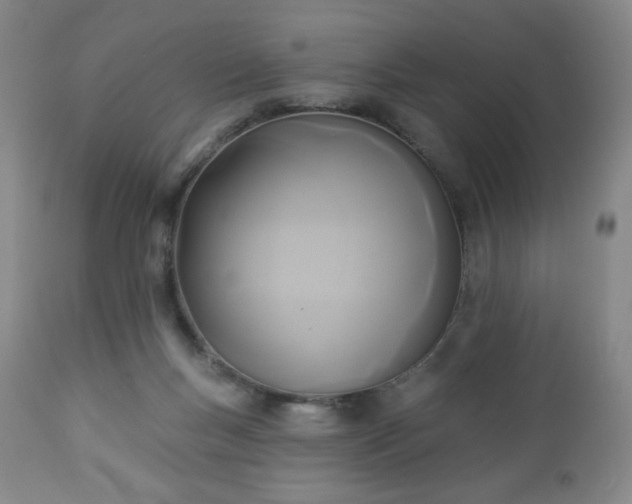 X0000112960167200909031030