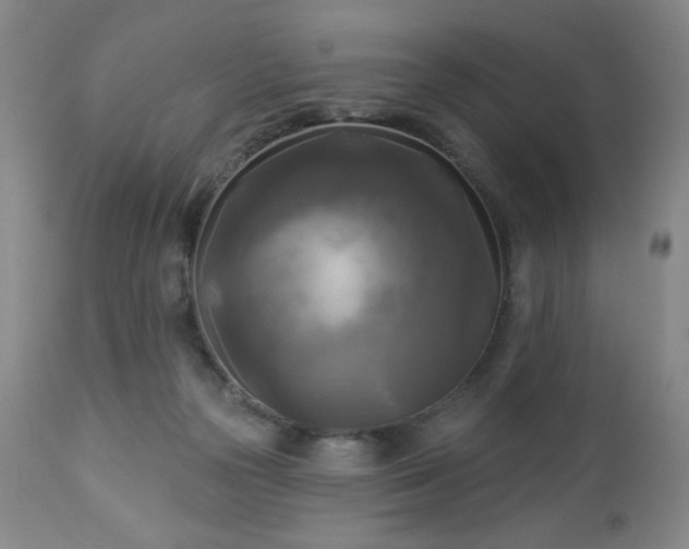 X0000112960169200909031030