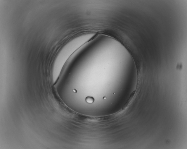 X0000112960170200909031030