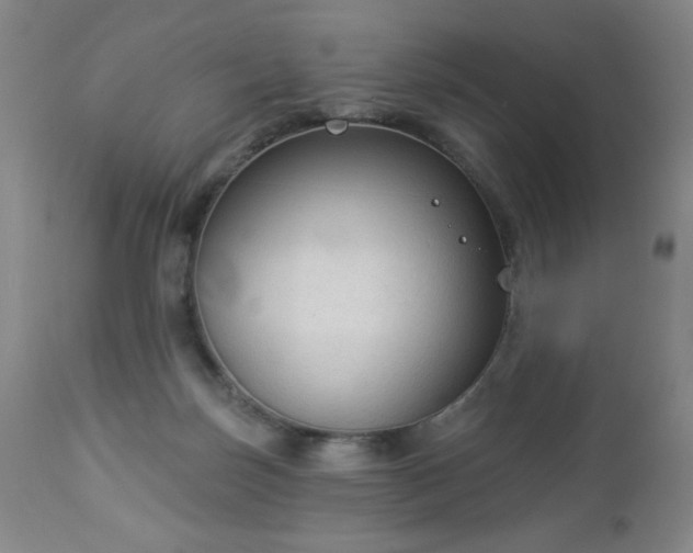 X0000112960171200909031030