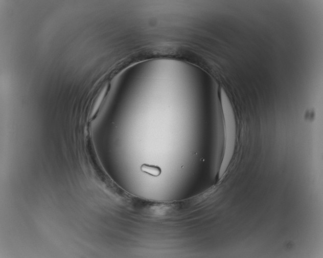 X0000112960172200909031030