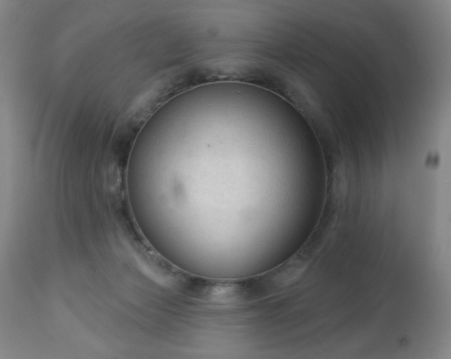 X0000112960173200909031030