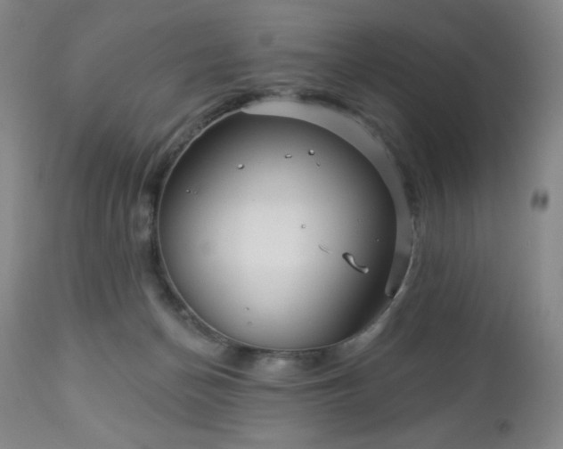 X0000112960174200909031030