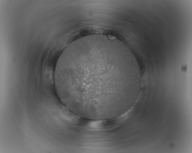 X0000112960178200909031030