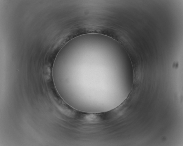 X0000112960183200909031030