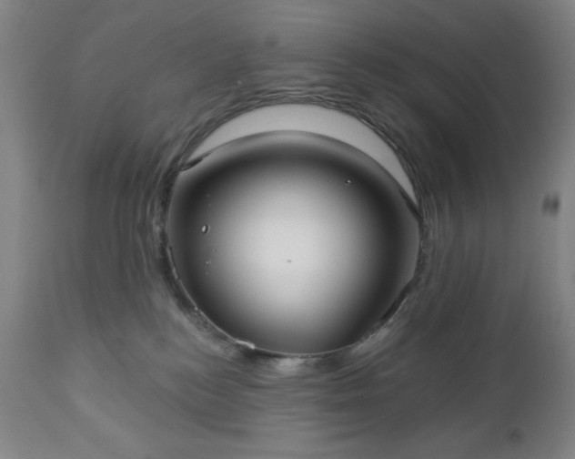 X0000112960184200909031031