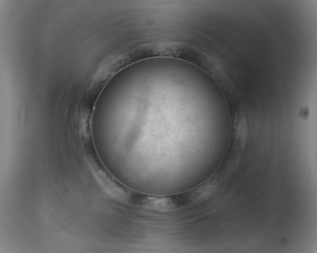 X0000112960185200909031031