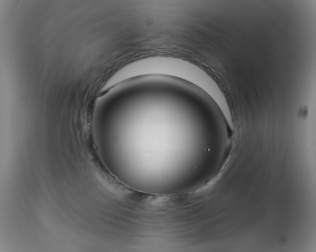 X0000112960186200909031031