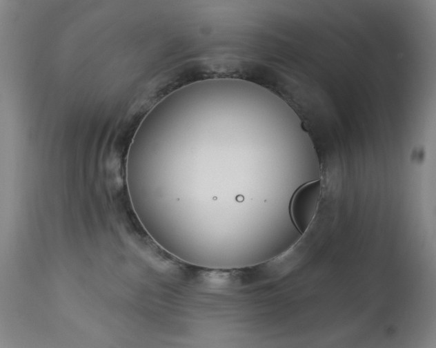 X0000112960187200909031031