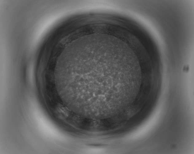 X0000112960189200909031031