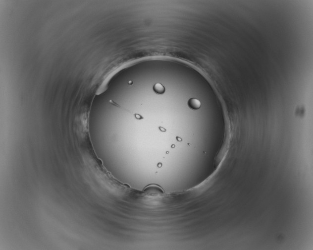 X0000112960190200909031031