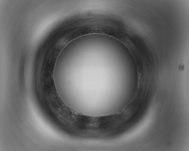 X0000112960191200909031031