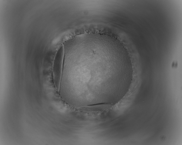 X0000112960192200909031031