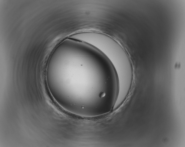 X0000112960193200909031030