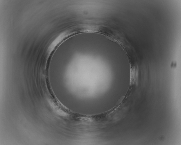 X0000112960195200909031030