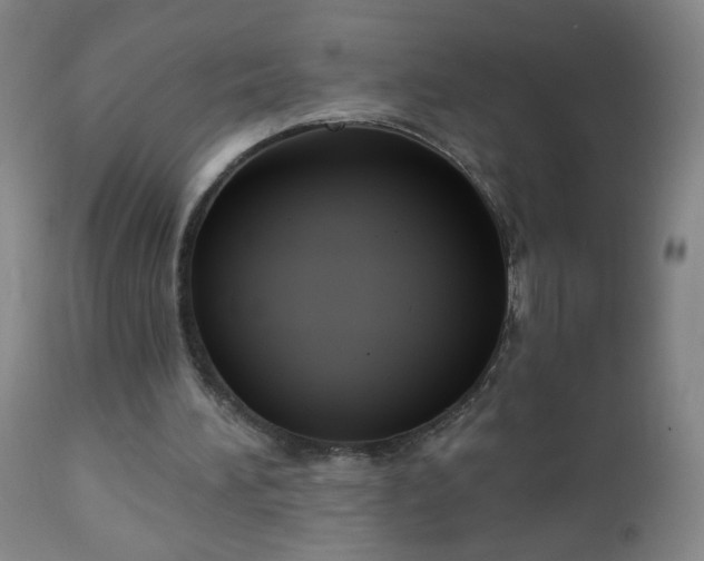 X0000112960196200909031030