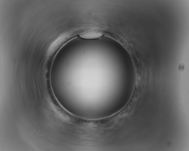 X0000112960197200909031030