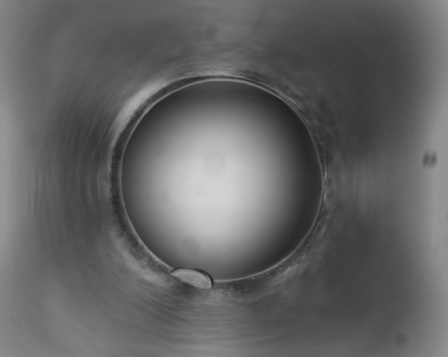 X0000112960200200909031030