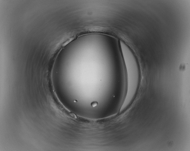 X0000112960201200909031030