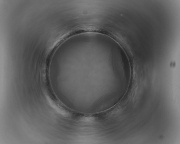 X0000112960202200909031030