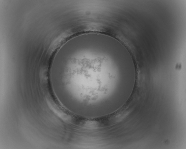 X0000112960203200909031030