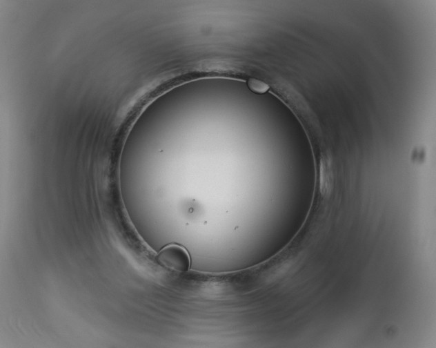 X0000112960204200909031030