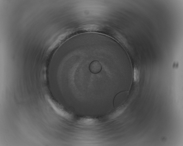 X0000112960205200909031030