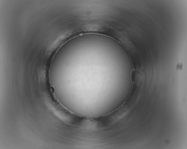 X0000112960207200909031030