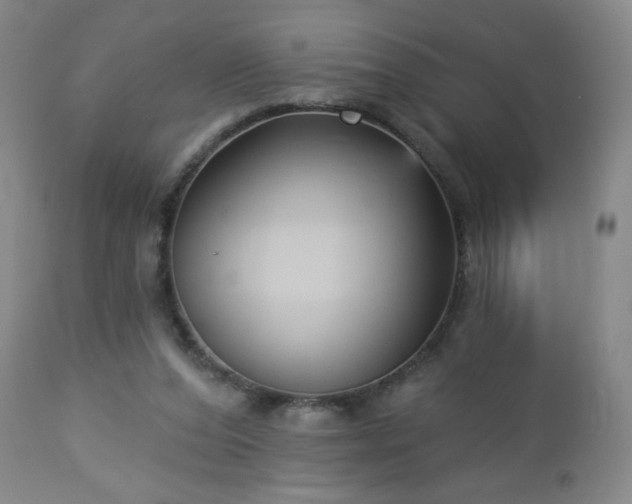 X0000112960208200909031030