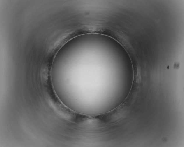 X0000112960210200909031030