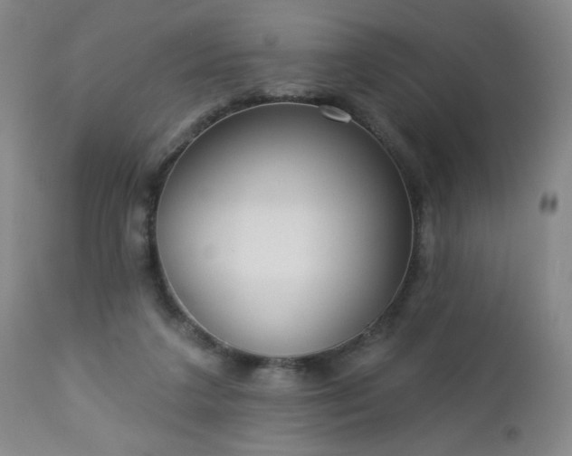 X0000112960211200909031030