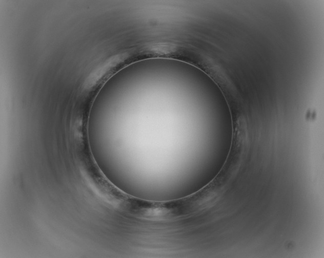 X0000112960212200909031030