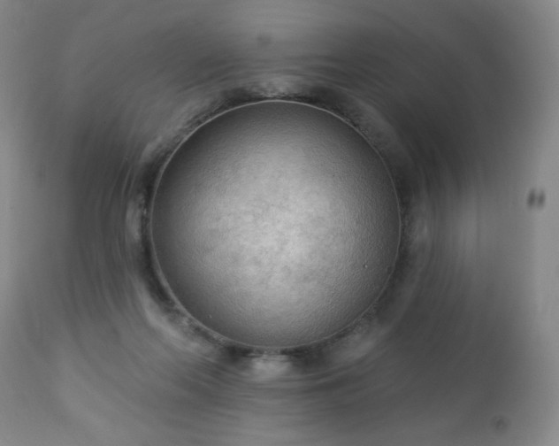 X0000112960214200909031030