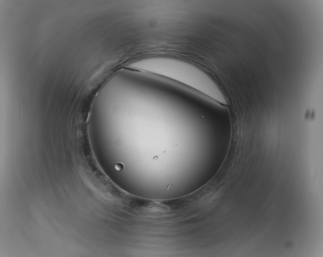 X0000112960215200909031030