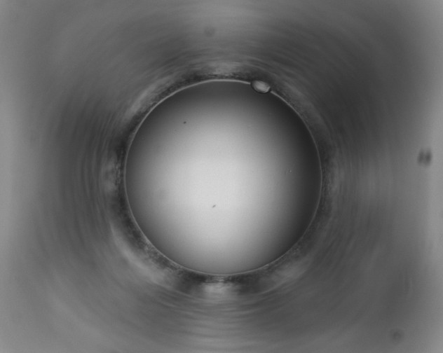 X0000112960216200909031030