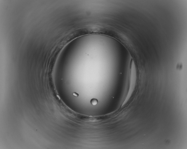 X0000112960217200909031030