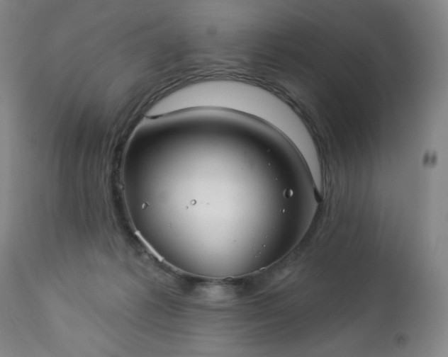 X0000112960221200909031030