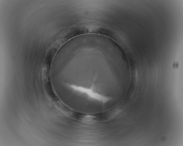 X0000112960222200909031030